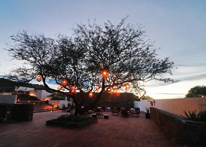 Albor San Miguel De Allende, Tapestry Collection By Hilton